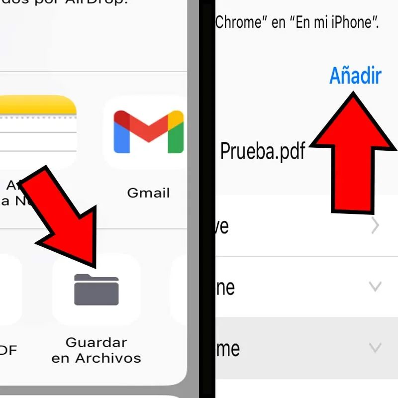 Apartados “Guardar en Archivos” y “Añadir”.