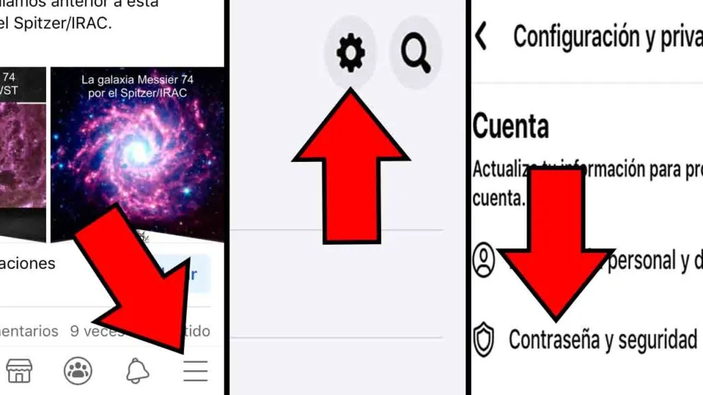 Menú de las tres líneas, icono del engranaje, y opción “Contraseña y seguridad” en iOS.
