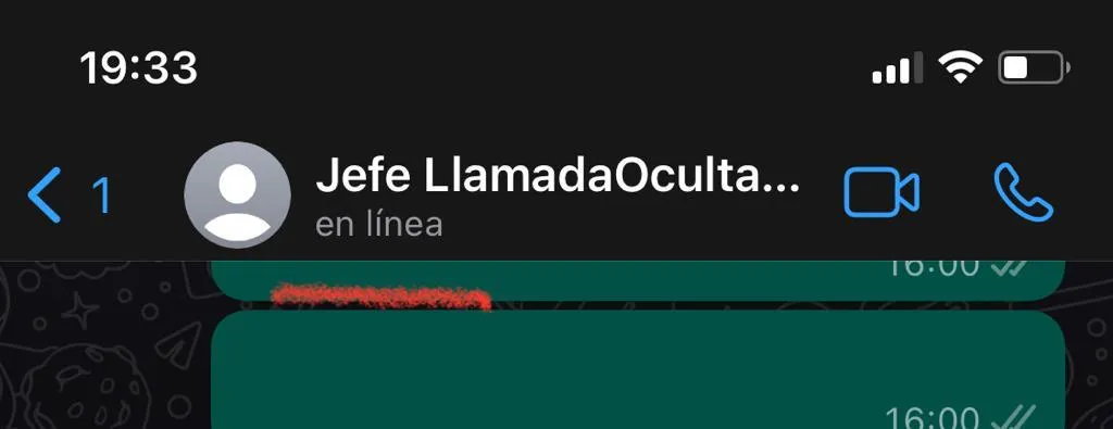 usuario de whatsapp en linea