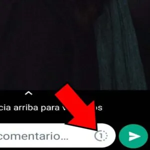 Icono para activar los mensajes de una sola visualización.