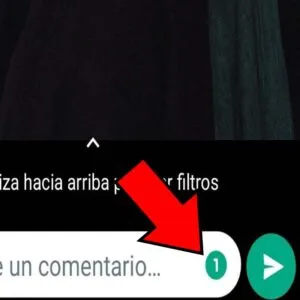 Icono que muestra que los mensajes de una sola visualización han sido activados.