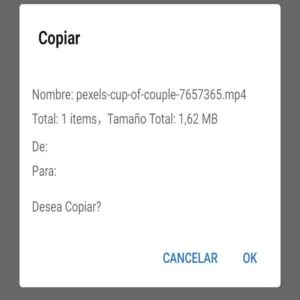 Modal que le pregunta al usuario si desea copiar un archivo a otra carpeta.