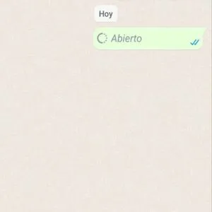 Mensaje indicando que una foto de una sola visualización fue abierta.