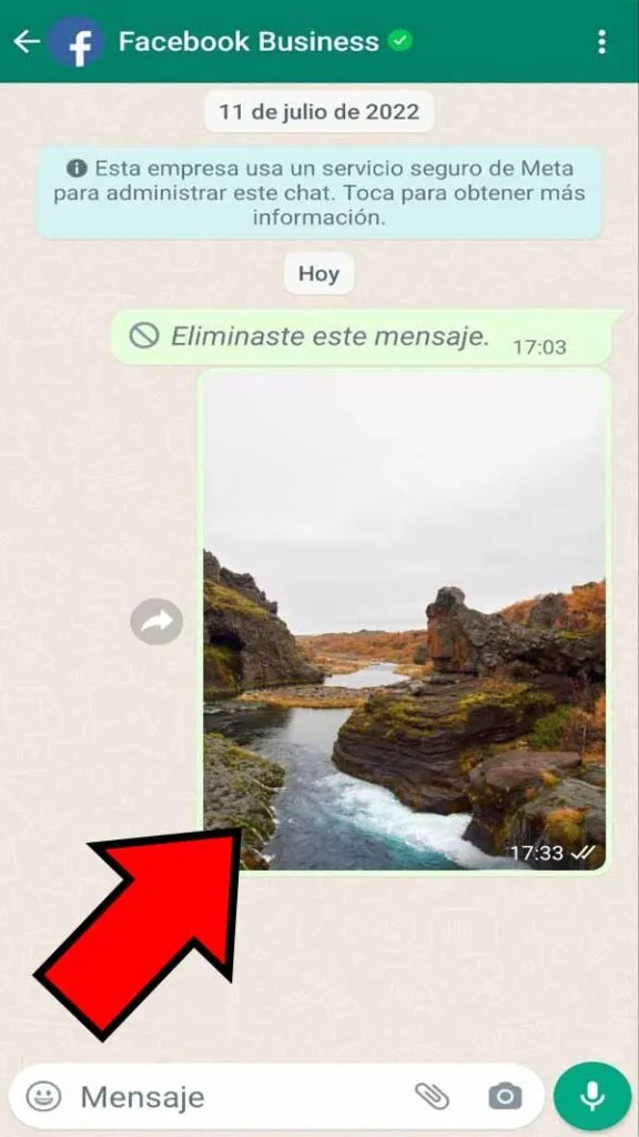 Foto enviada en un chat de WhatsApp.