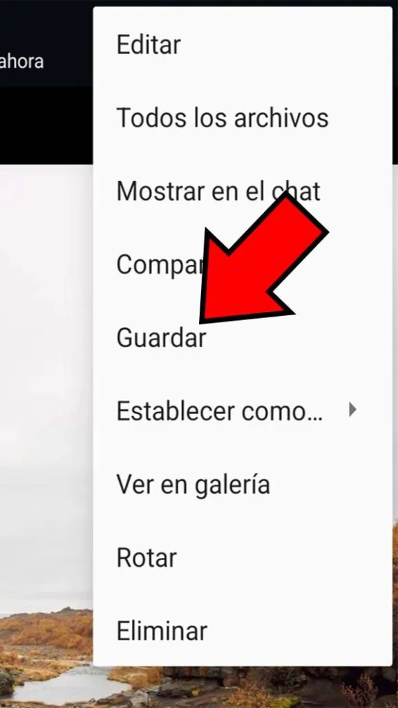Opción “Guardar”.
