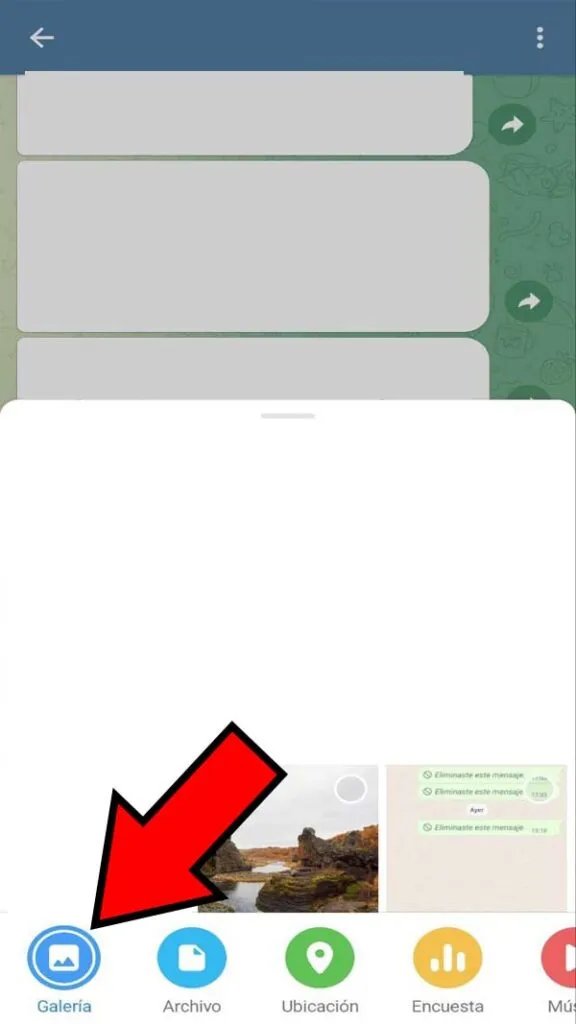 Opción “Galería” de Telegram.