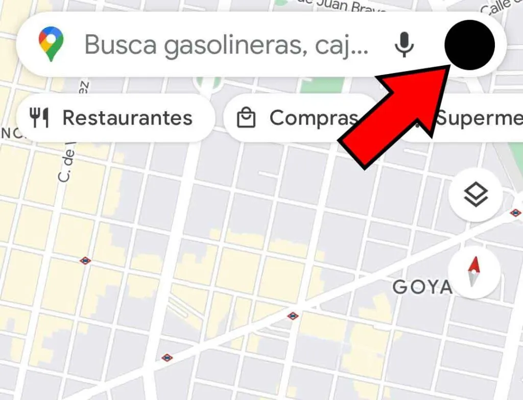 Foto de perfil de un usuario en Google Maps.