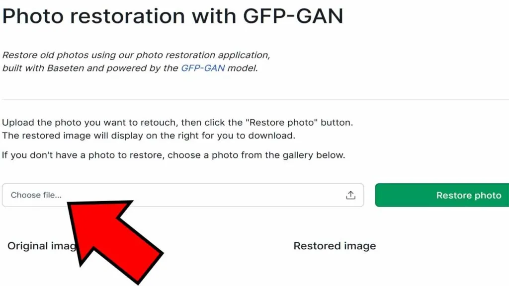 Opción “Choose file” de la página web para restaurar fotos.