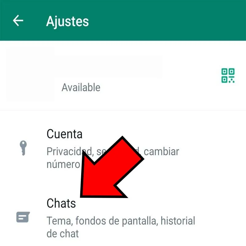 Apartado “Chats”.