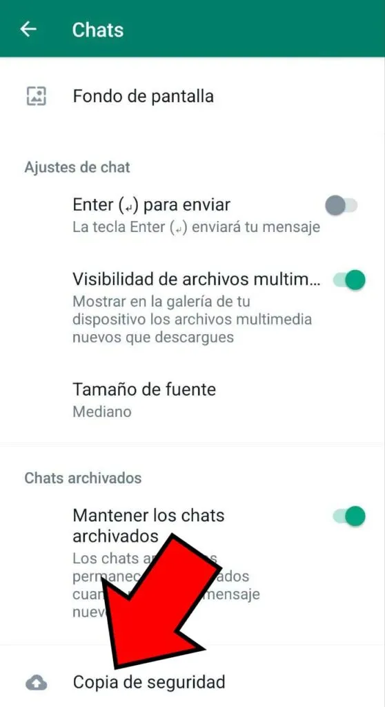 Opción “Copia de seguridad” de WhatsApp.