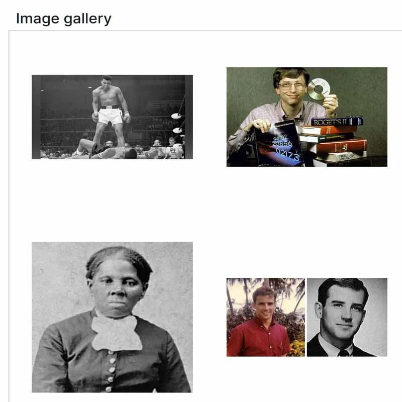 Apartado “Image gallery” de la página web de la IA del GFP.