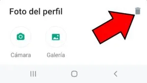 Icono de un bote de basura, el cual te permite eliminar tu foto de perfil de WhatsApp.