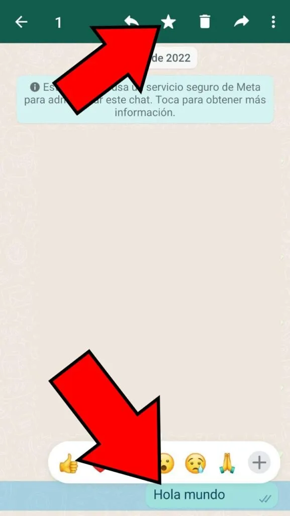 Chat mostrando un mensaje seleccionado y el icono de la estrella.