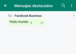 Lista de mensajes destacados de WhatsApp de un usuario.