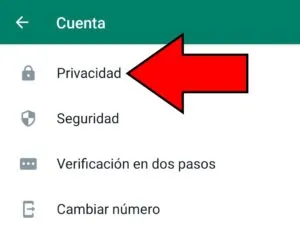Menú mostrando la opción “Privacidad”.
