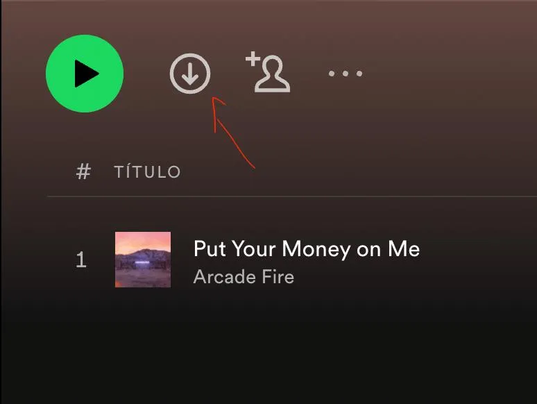 Descargar Playlist en Spotify