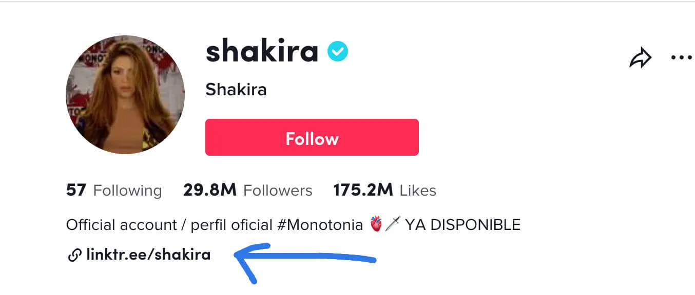 Como poner enlaces en TikTok