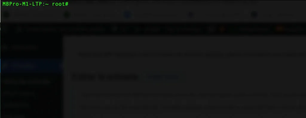 Consola de superusuario root